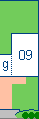 dm 09