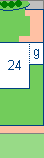 dm 24