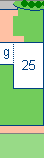 dm 25